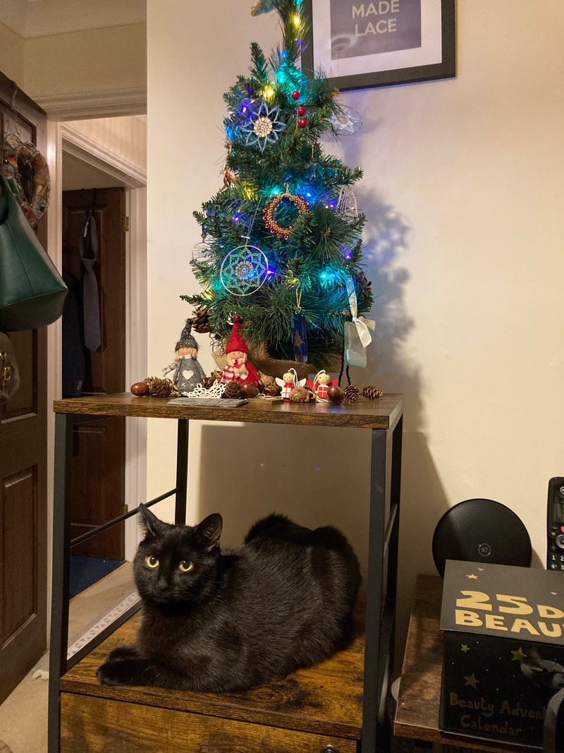 Flo is not impressed with being displaced from her favourite sitting place